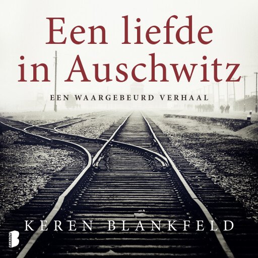 Een liefde in Auschwitz