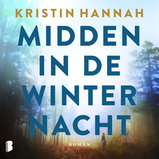 Midden in de winternacht