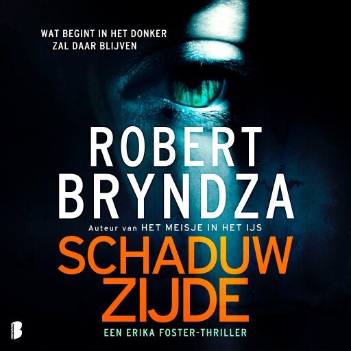 Schaduwzijde
