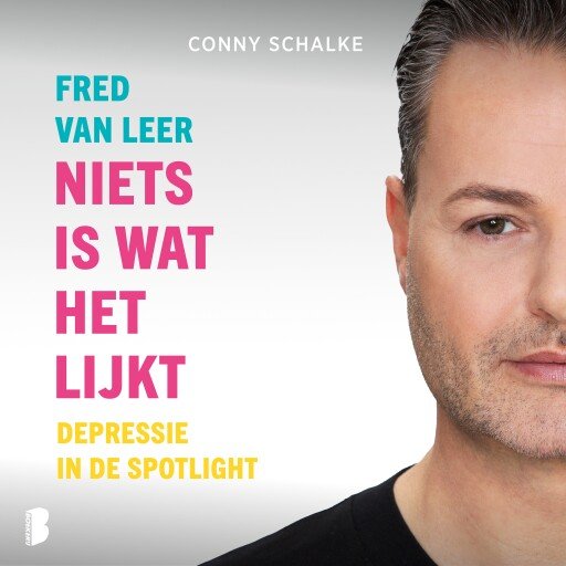 Niets is wat het lijkt