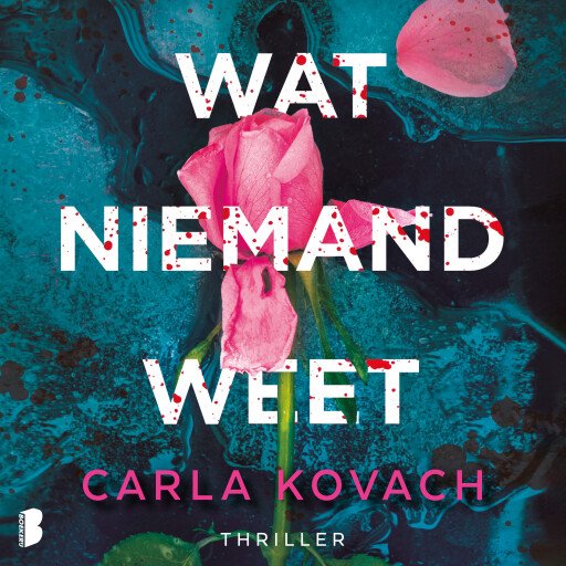 Wat niemand weet