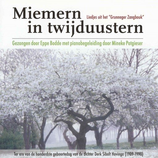 Miemern in twijduustern
