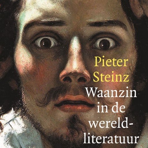Waanzin in de wereldliteratuur