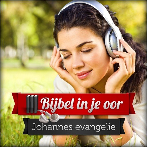 Het evangelie van Johannes