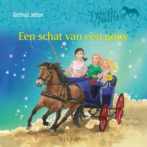 Een schat van een pony