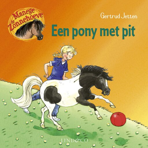 Een pony met pit