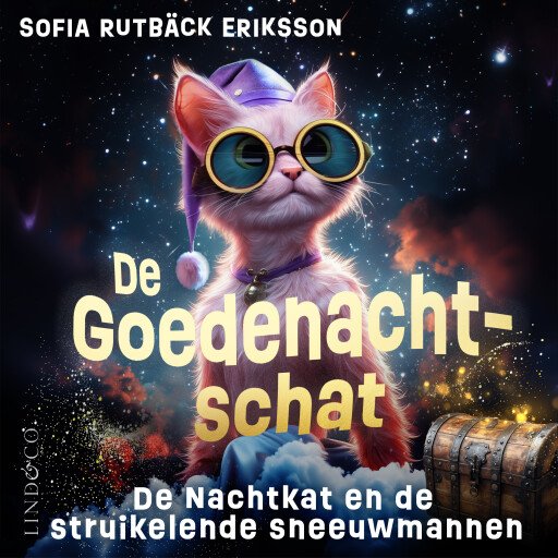 De nachtkat en de struikelende sneeuwmannen