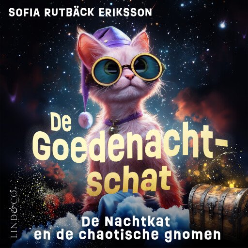 De nachtkat en de chaotische gnomen