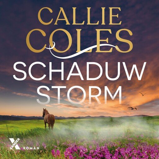 Schaduwstorm
