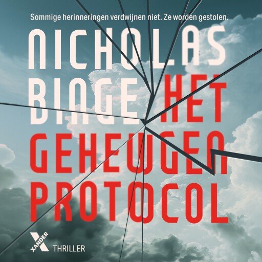 Het geheugenprotocol