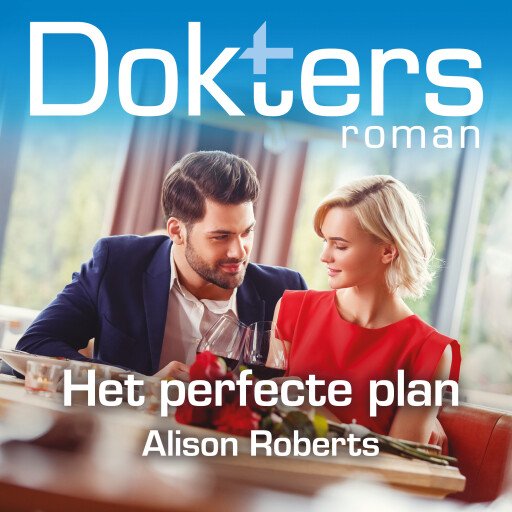 Het perfecte plan