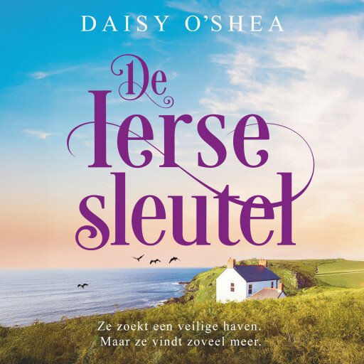 De Ierse sleutel