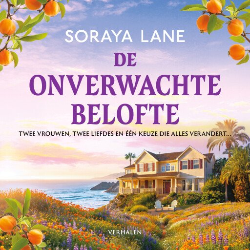 De onverwachte belofte