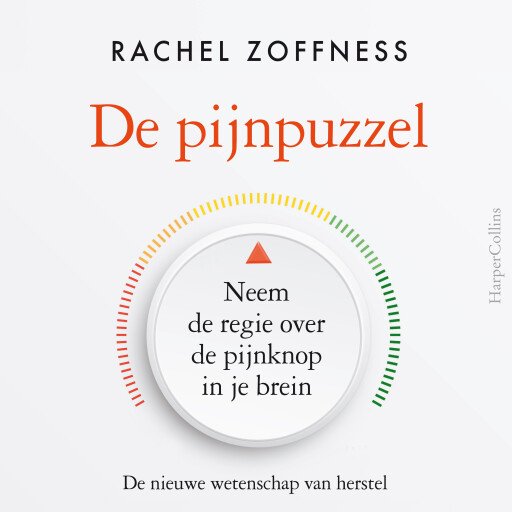De pijnpuzzel