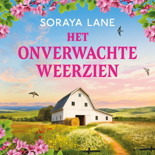 Het onverwachte weerzien