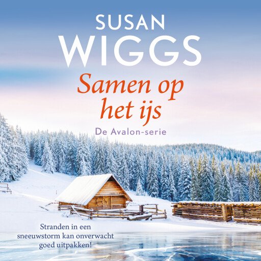 Samen op het ijs