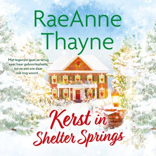 Kerst in Shelter Springs
