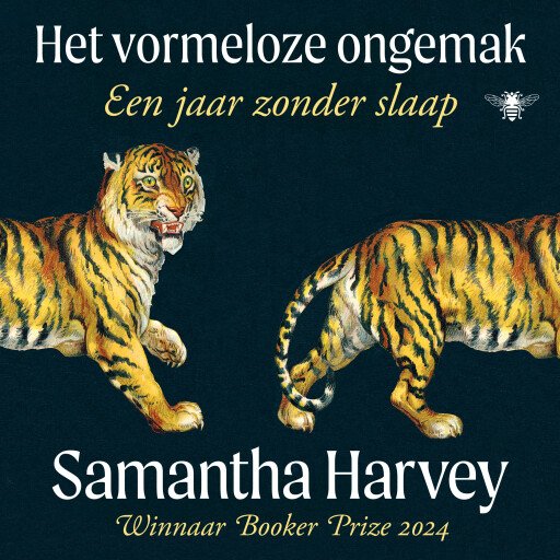 Het vormeloze ongemak