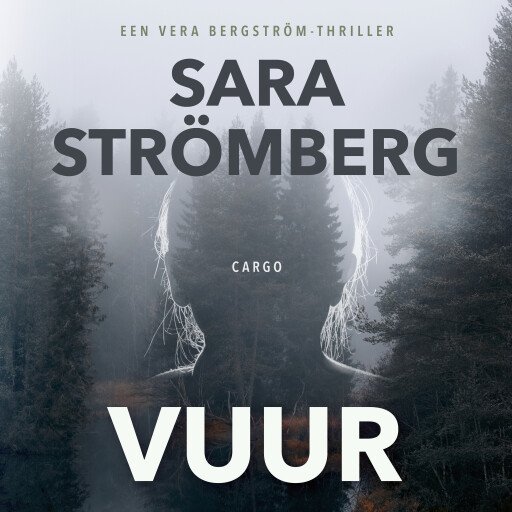 Vuur