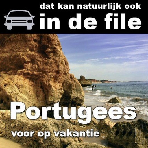 Portugees voor op vakantie