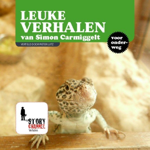 Leuke verhalen van Simon Carmiggelt