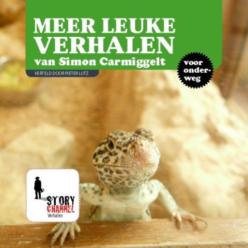 Meer leuke verhalen van Simon Carmiggelt