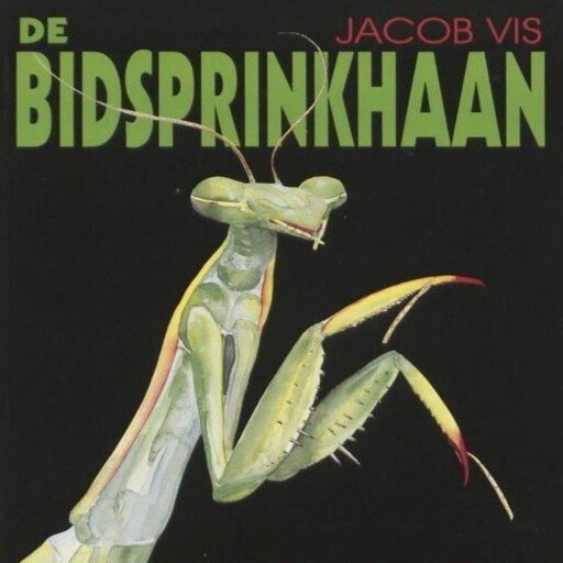 De bidsprinkhaan afbeelding