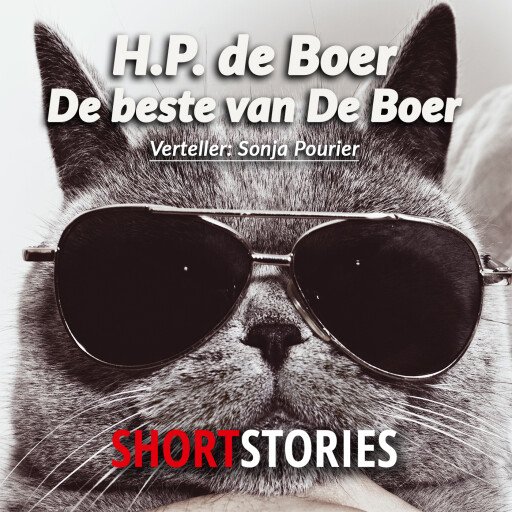 De beste van De Boer afbeelding