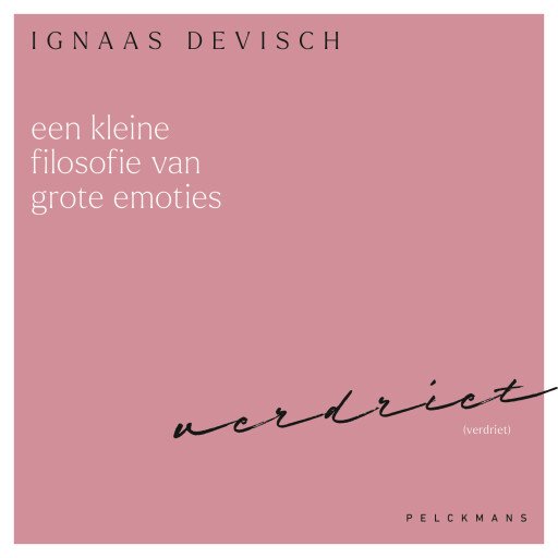 Een kleine filosofie van grote emoties: Verdriet