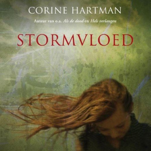 Stormvloed