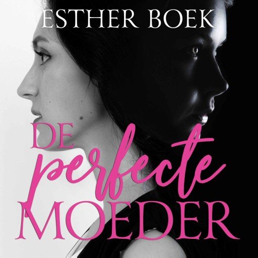 De perfecte moeder