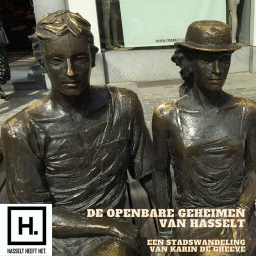 De openbare geheimen van Hasselt