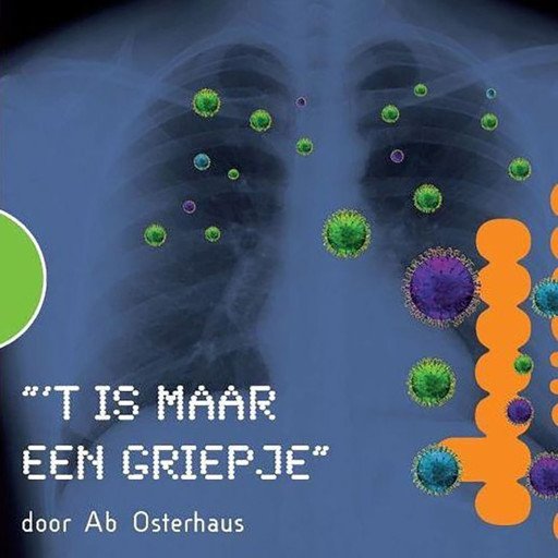 ‘t Is maar een griepje