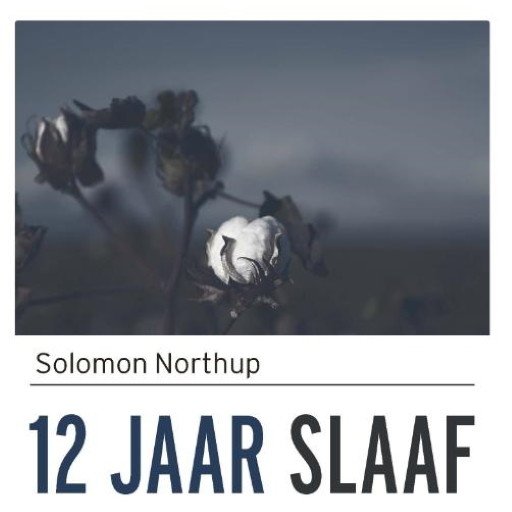 12 jaar slaaf