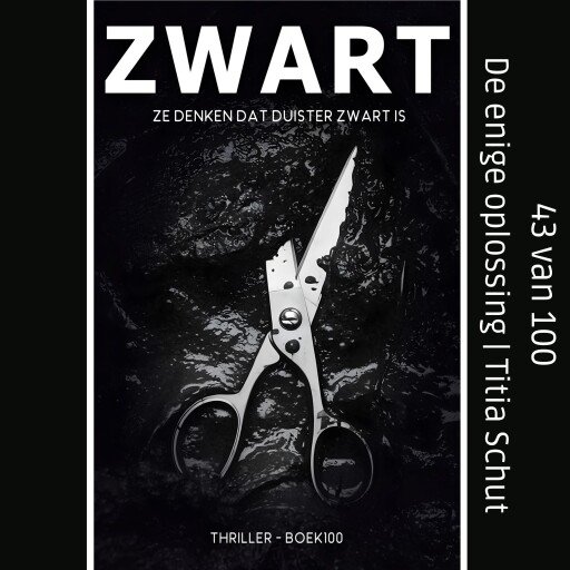 De enige oplossing