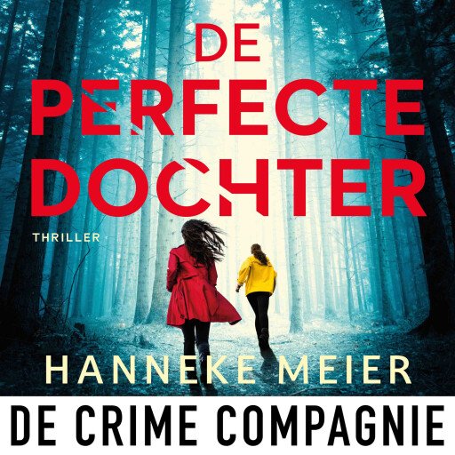 De perfecte dochter