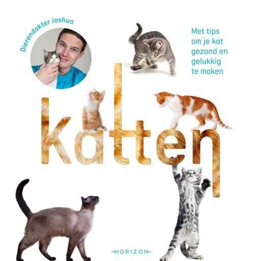 Katten