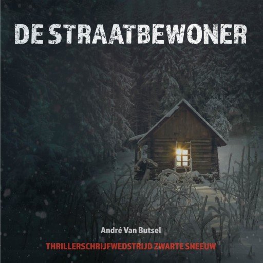 De straatbewoner